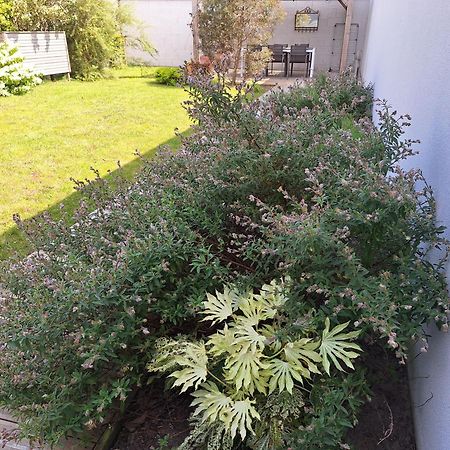 הוילה סן-פר-סור-מר Planchesdisa מראה חיצוני תמונה